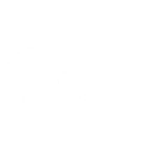 Applied Systems Thinking